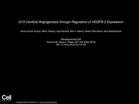 G13 Controls Angiogenesis through Regulation of VEGFR-2 Expression