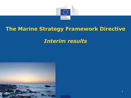 The Marine Strategy Framework Directive