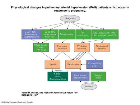 Physiological changes in pulmonary arterial hypertension (PAH) patients which occur in response to pregnancy. Physiological changes in pulmonary arterial.