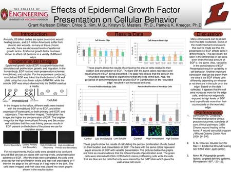 Effects of Epidermal Growth Factor Presentation on Cellular Behavior