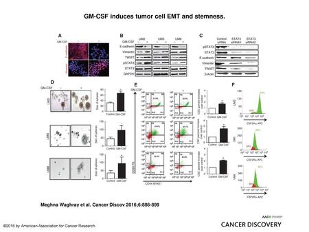 GM-CSF induces tumor cell EMT and stemness.