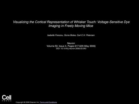 Visualizing the Cortical Representation of Whisker Touch: Voltage-Sensitive Dye Imaging in Freely Moving Mice  Isabelle Ferezou, Sonia Bolea, Carl C.H.