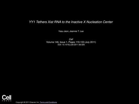 YY1 Tethers Xist RNA to the Inactive X Nucleation Center
