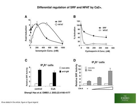 Differential regulation of SRF and NFAT by Ca2+.