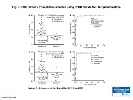 Fig. 6. dAST directly from clinical samples using dPCR and dLAMP for quantification. dAST directly from clinical samples using dPCR and dLAMP for quantification.
