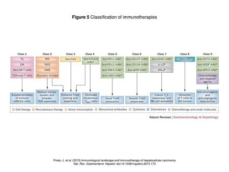 Figure 5 Classification of immunotherapies