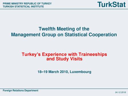 Twelfth Meeting of the Management Group on Statistical Cooperation