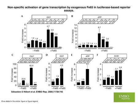 Non‐specific activation of gene transcription by exogenous Fe65 in luciferase‐based reporter assays. Non‐specific activation of gene transcription by exogenous.