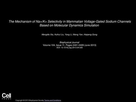 The Mechanism of Na+/K+ Selectivity in Mammalian Voltage-Gated Sodium Channels Based on Molecular Dynamics Simulation  Mengdie Xia, Huihui Liu, Yang Li,