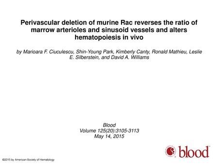 Perivascular deletion of murine Rac reverses the ratio of marrow arterioles and sinusoid vessels and alters hematopoiesis in vivo by Marioara F. Ciuculescu,