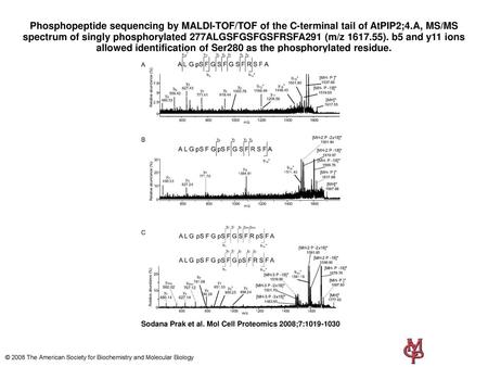 Phosphopeptide sequencing by MALDI-TOF/TOF of the C-terminal tail of AtPIP2;4.A, MS/MS spectrum of singly phosphorylated 277ALGSFGSFGSFRSFA291 (m/z 1617.55).