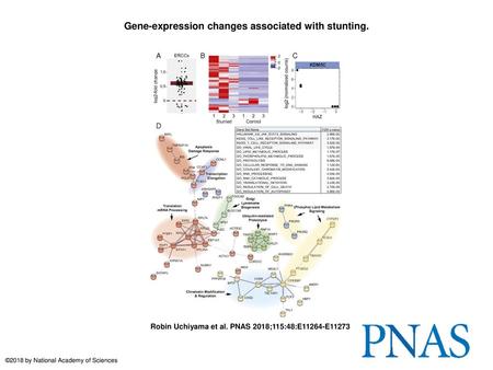 Gene-expression changes associated with stunting.