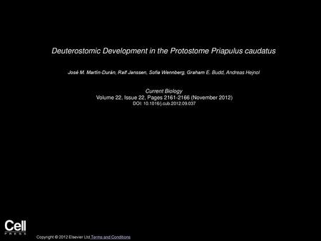 Deuterostomic Development in the Protostome Priapulus caudatus