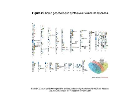 Figure 2 Shared genetic loci in systemic autoimmune diseases