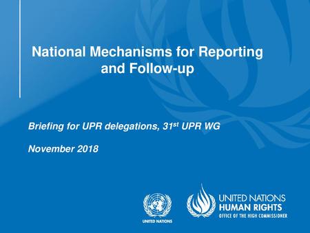 National Mechanisms for Reporting and Follow-up