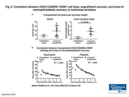 Fig. 5. Correlation between CD34+CD45RA−CD90+ cell dose, engraftment success, and onset of neutrophil/platelet recovery in nonhuman primates. Correlation.