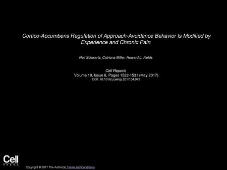Cortico-Accumbens Regulation of Approach-Avoidance Behavior Is Modified by Experience and Chronic Pain  Neil Schwartz, Catriona Miller, Howard L. Fields 