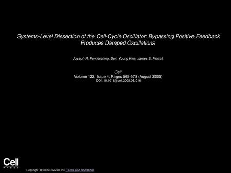 Systems-Level Dissection of the Cell-Cycle Oscillator: Bypassing Positive Feedback Produces Damped Oscillations  Joseph R. Pomerening, Sun Young Kim,
