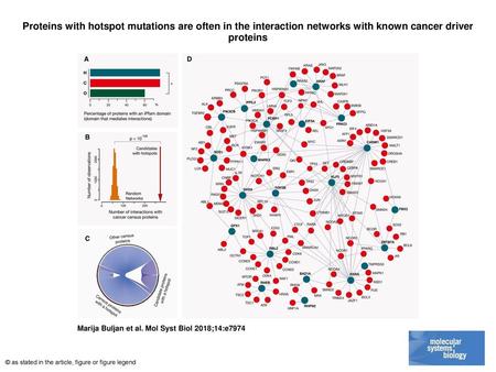 Proteins with hotspot mutations are often in the interaction networks with known cancer driver proteins Proteins with hotspot mutations are often in the.