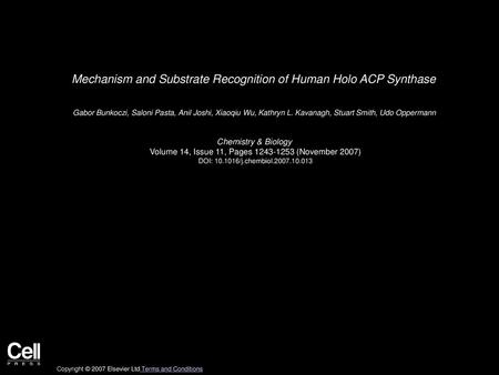 Mechanism and Substrate Recognition of Human Holo ACP Synthase