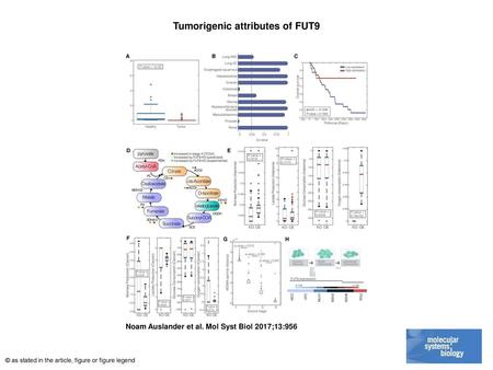 Tumorigenic attributes of FUT9