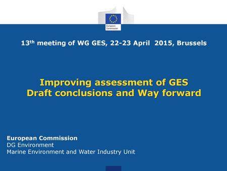 Improving assessment of GES Draft conclusions and Way forward