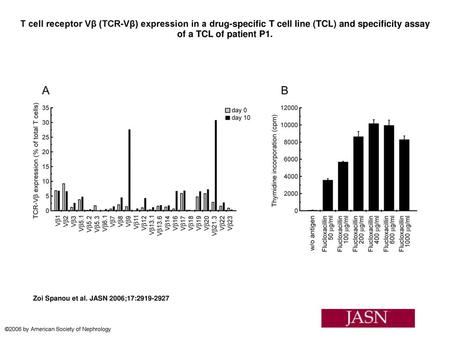 T cell receptor Vβ (TCR-Vβ) expression in a drug-specific T cell line (TCL) and specificity assay of a TCL of patient P1. T cell receptor Vβ (TCR-Vβ) expression.