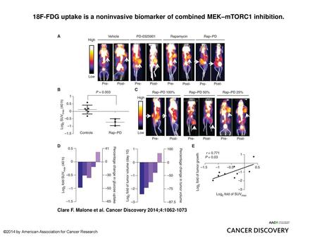 18F-FDG uptake is a noninvasive biomarker of combined MEK–mTORC1 inhibition. 18F-FDG uptake is a noninvasive biomarker of combined MEK–mTORC1 inhibition.