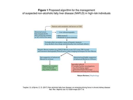 Figure 1 Proposed algorithm for the management