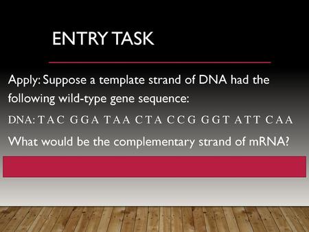 Entry Task Apply: Suppose a template strand of DNA had the following wild-type gene sequence: DNA: T A C G G A T A A C T A C C G G G T A T T C.