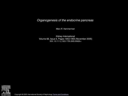 Organogenesis of the endocrine pancreas
