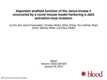 Important scaffold function of the Janus kinase 2 uncovered by a novel mouse model harboring a Jak2 activation-loop mutation by Eric Keil, David Finkenstädt,