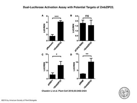 Dual-Luciferase Activation Assay with Potential Targets of ZmbZIP22.