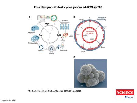 Four design-build-test cycles produced JCVI-syn3.0.
