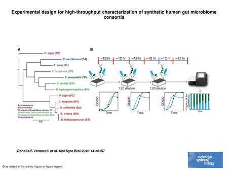 Experimental design for high‐throughput characterization of synthetic human gut microbiome consortia Experimental design for high‐throughput characterization.