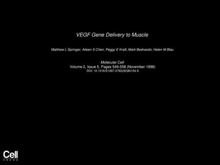 VEGF Gene Delivery to Muscle