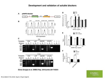 Development and validation of soluble blockers
