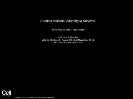 Candida albicans: Adapting to Succeed