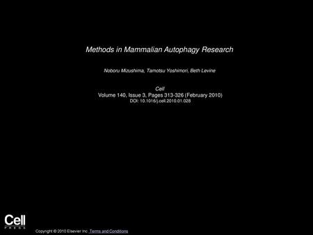 Methods in Mammalian Autophagy Research