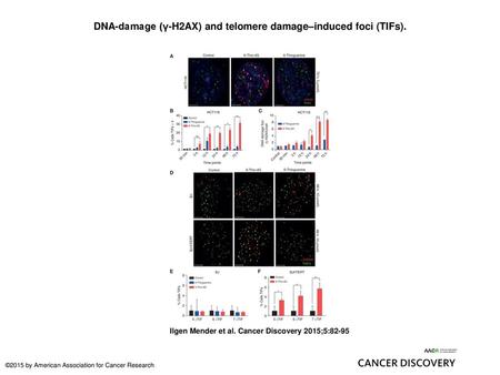 DNA-damage (γ-H2AX) and telomere damage–induced foci (TIFs).