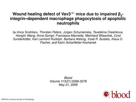 Wound healing defect of Vav3−/− mice due to impaired β2-integrin–dependent macrophage phagocytosis of apoptotic neutrophils by Anca Sindrilaru, Thorsten.