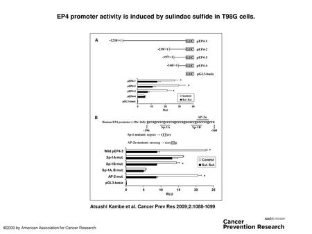 EP4 promoter activity is induced by sulindac sulfide in T98G cells.