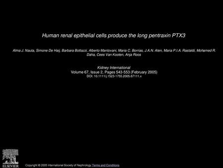 Human renal epithelial cells produce the long pentraxin PTX3