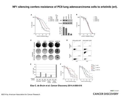NF1 silencing confers resistance of PC9 lung adenocarcinoma cells to erlotinib (erl). NF1 silencing confers resistance of PC9 lung adenocarcinoma cells.