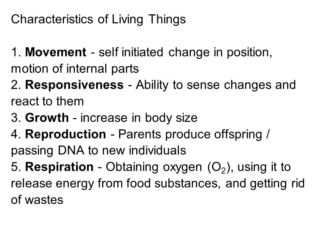 The 8 Characteristics of Living Things Essay - 616 Words