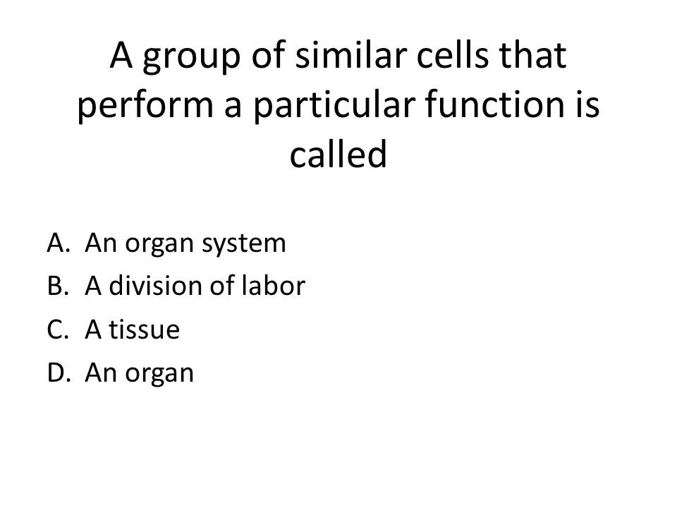 A Group Of Cells That Perform Similar Functions 26