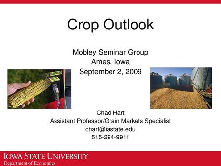 Assistant Professor/Grain Markets Specialist