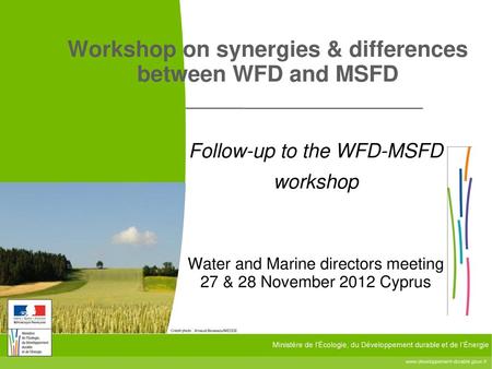 Workshop on synergies & differences between WFD and MSFD