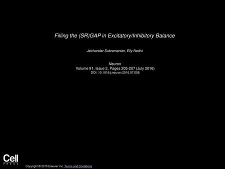Filling the (SR)GAP in Excitatory/Inhibitory Balance