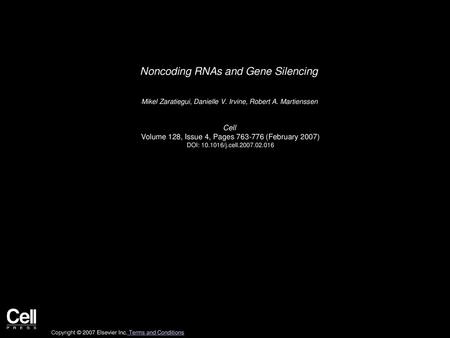 Noncoding RNAs and Gene Silencing